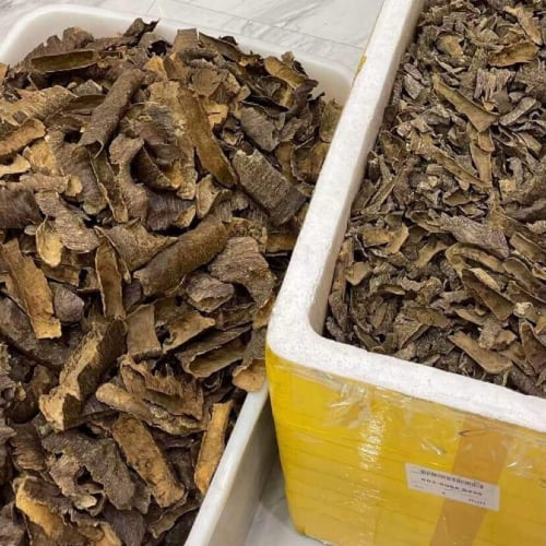 عود فيتنامي زوايا وقواقع سوبر مرتفع جملة