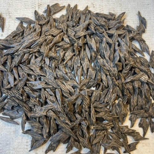 عود تايقر محسن فاخر