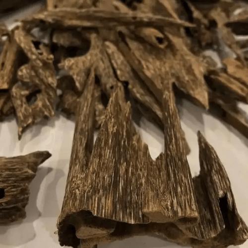 عود سيوفي سوبر مرتفع ودبل