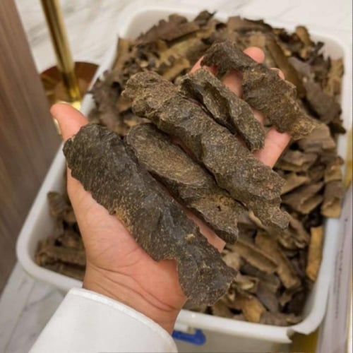 عود بوتان سوبر مرتفع ودبل