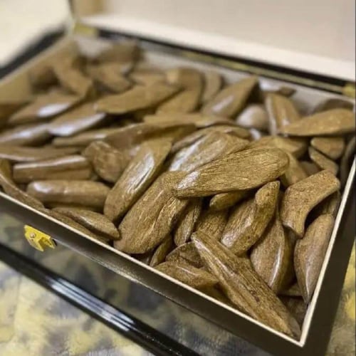 عود مروكي اصقون جبلي بالجملة