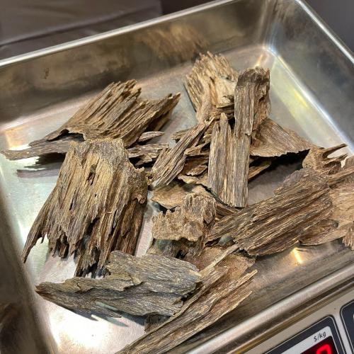 عود جابورا سوبر مرتفع