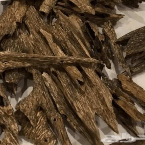 عود سيوفي سوبر مرتفع ودبل