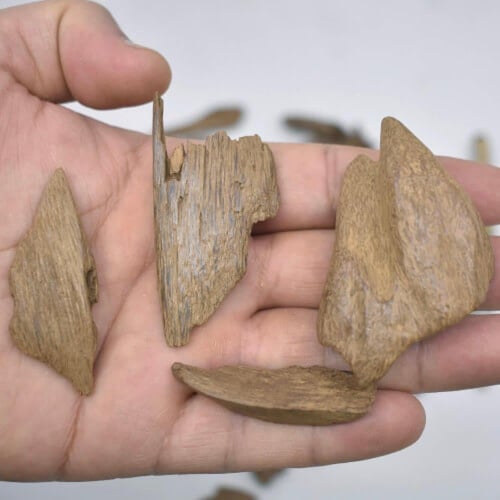 عود مروكي اصقون سوبر