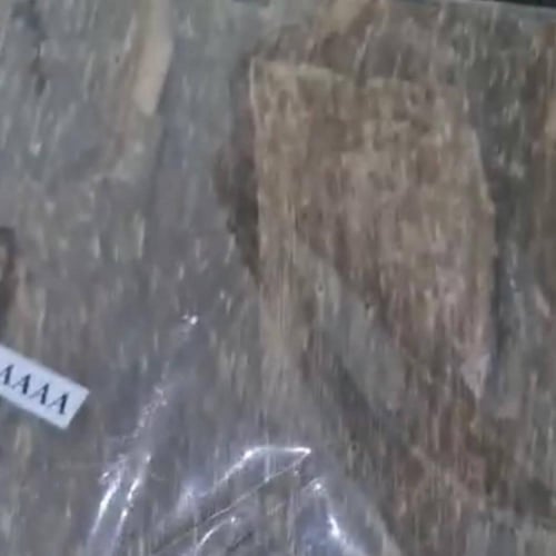 رقائق عود فيتنامي AAAA