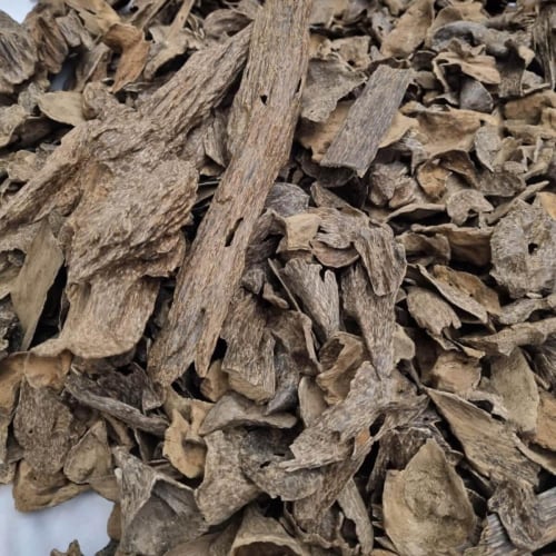 عود سيلاني دبل سوبر قديم