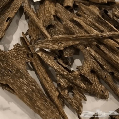 عود سيوفي سوبر مرتفع ودبل بالجملة