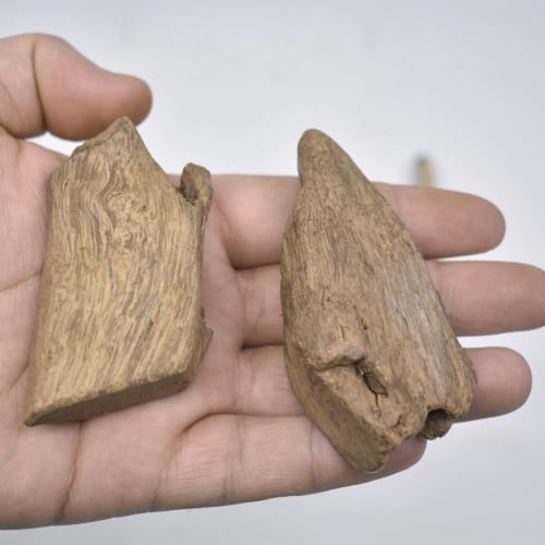 عود مروكي اصقون دبل سوبر