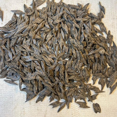 عود كمبودي تايقر جملة