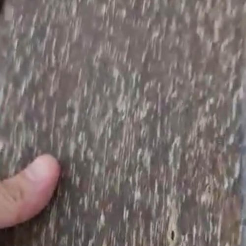 رقائق عود فيتنامي AAAA