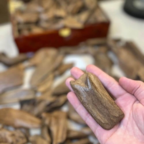 عود مروكي اصقون سوبر مرتفع