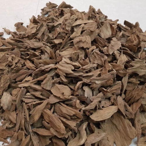 عود جابورا سوبر مرتفع