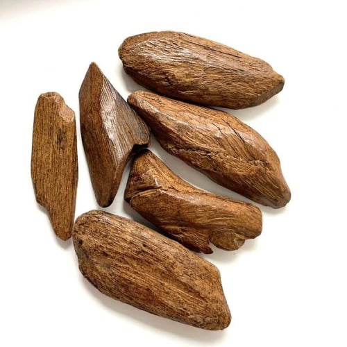 ثمن كيلو عود مروكي اصقون الكنج