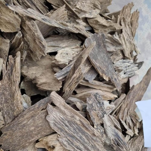 عود جابورا سوبر مرتفع