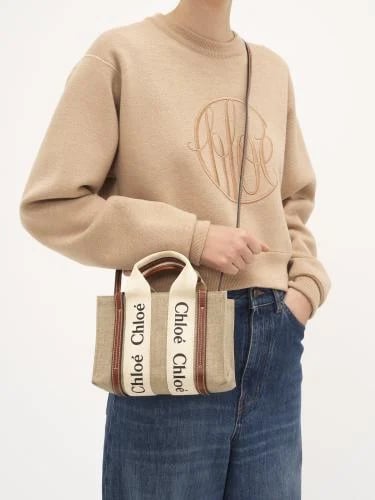 Chloe bag Mini size