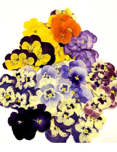 ورد مجفف قابل للاكل 25 وردة