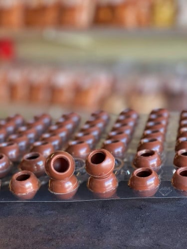 كرتون قوالب الترفل 504 حبه