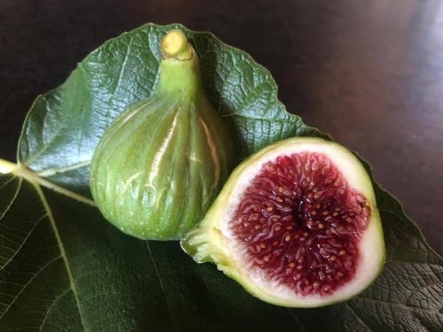 100 عقله تين وايت ماديرا #1