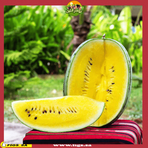 بذور البطيخ الاصفر 20 بذرة