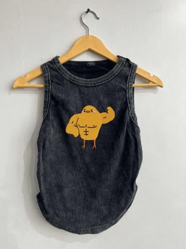 توب - بطة معضلة