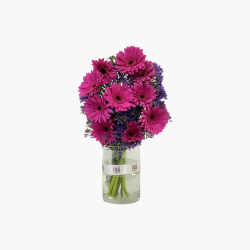 فازة ورد جربيرا فوشي