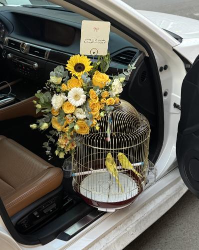 عصافير الحب قفص ذهبي