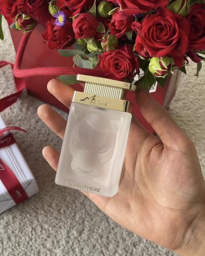 عطر الشعر من كارتير