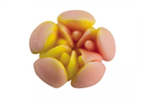 BX 0023 قمع وردة