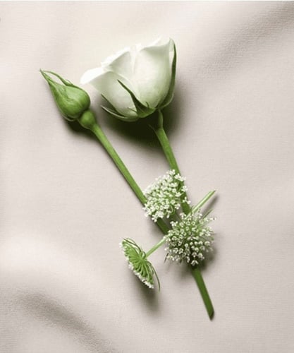 إيف سان لوران عطر بلوز لو فيستيير او دو بارفان