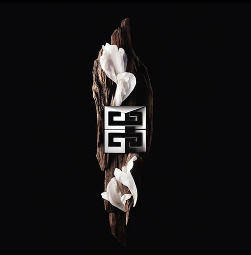 جيفنشي عطر جنتل مان سوسايتي او دو بارفان