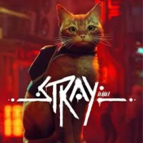 لعبة Strayوألعاب اخرى