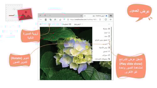 مهارات رقمية خامس-الفصل الدراسي الثاني