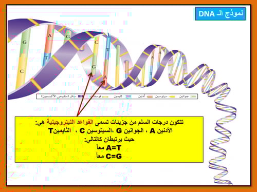 علوم ثالث متوسط-الفصل الدراسي الأول