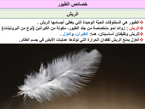 أحياء ثاني ثانوي-الفصل الدراسي الأول