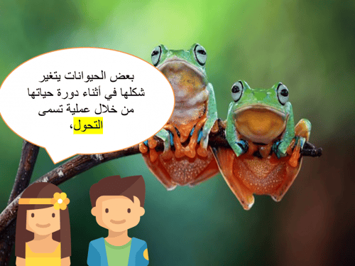 علوم ثالث ابتدائي-الفصل الدراسي الأول