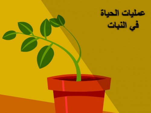 علوم سادس ابتدائي-الفصل الدراسي الأول