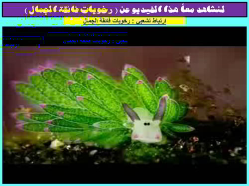 أحياء 1 اول ثانوي