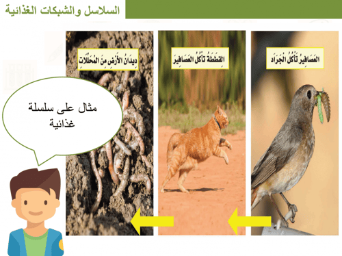 علوم ثالث ابتدائي-الفصل الدراسي الأول