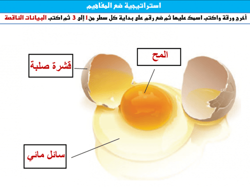 علوم خامس ابتدائي-الفصل الدراسي الأول