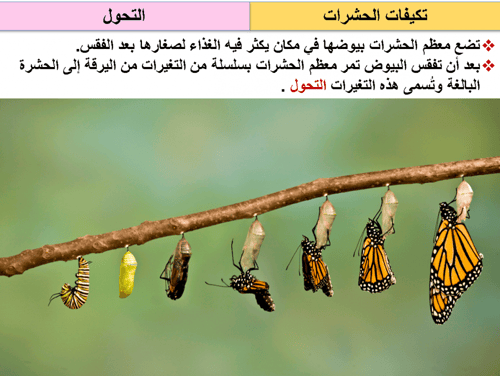 أحياء 1 اول ثانوي