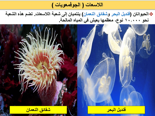 أحياء 1 اول ثانوي