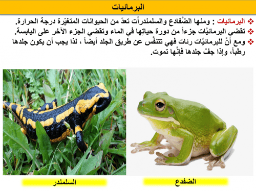 علوم رابع ابتدائي-الفصل الدراسي الأول