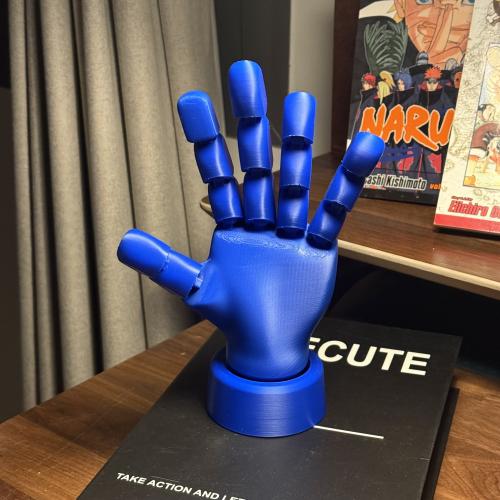 3D | the moving hand