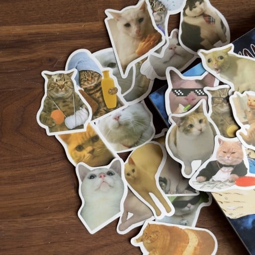 Stickers | قطط