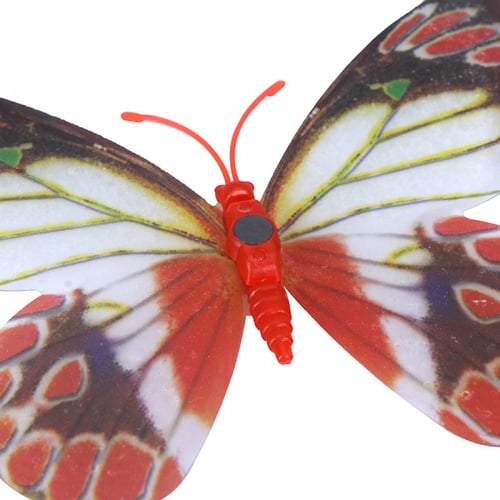 فراشة مغناطيس