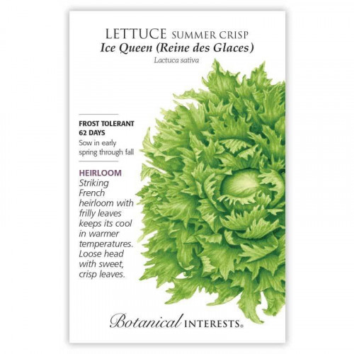 بذور خس ملكة الثلج - Lettuce Crisphead Ice Queen S...