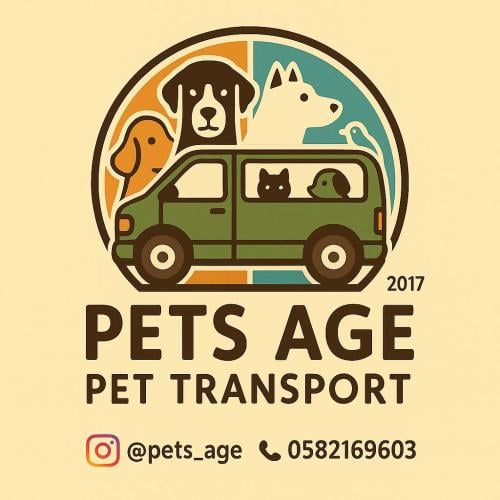 Delivery of a cat from Jazan to Riyadh