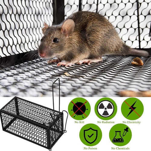 عدد 2 مصيدة فئران منزلية من الحديد