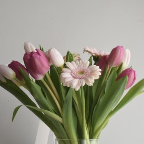 فازة توليب وجربيرا