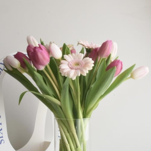 فازة توليب وجربيرا